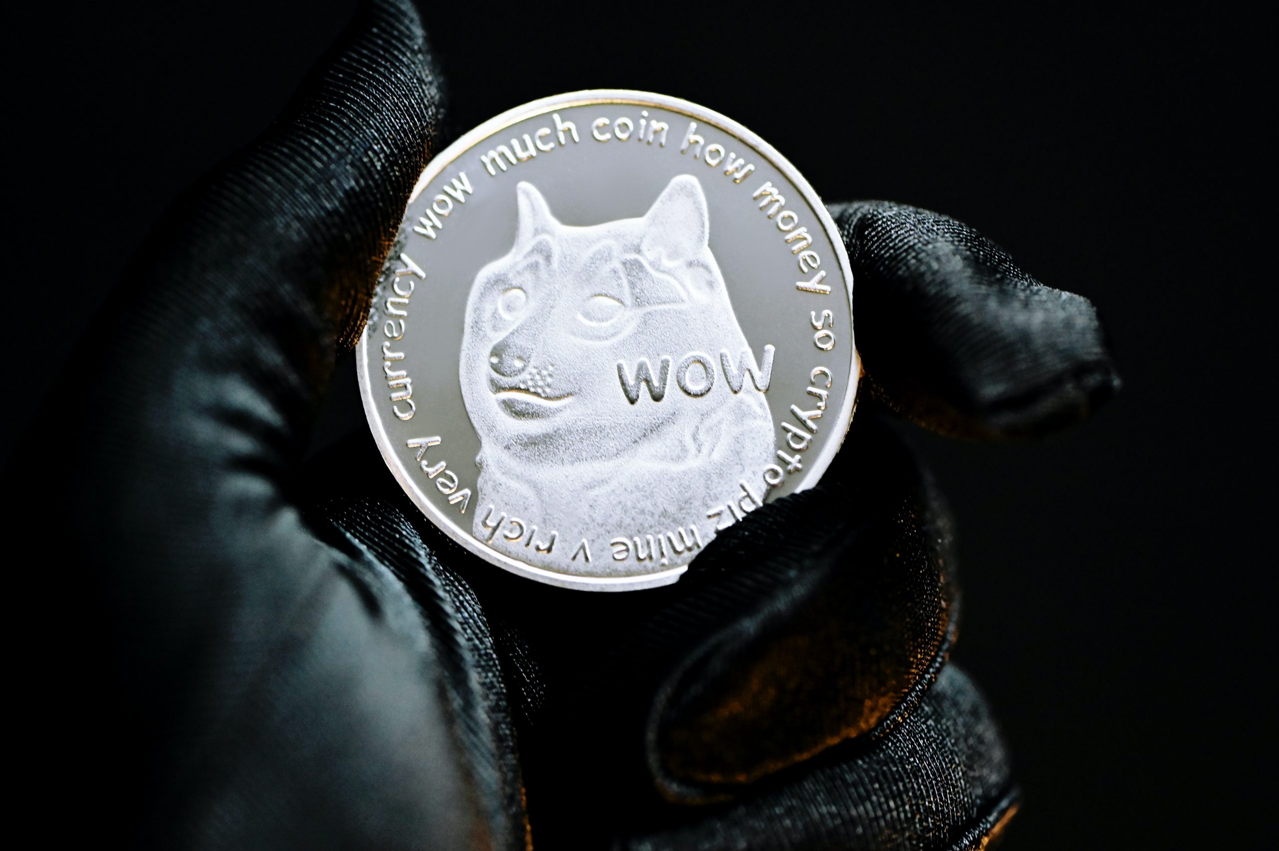 Copy… Doges? Multiple Claims to Dogecoin Name as Trademark Battle Ensues