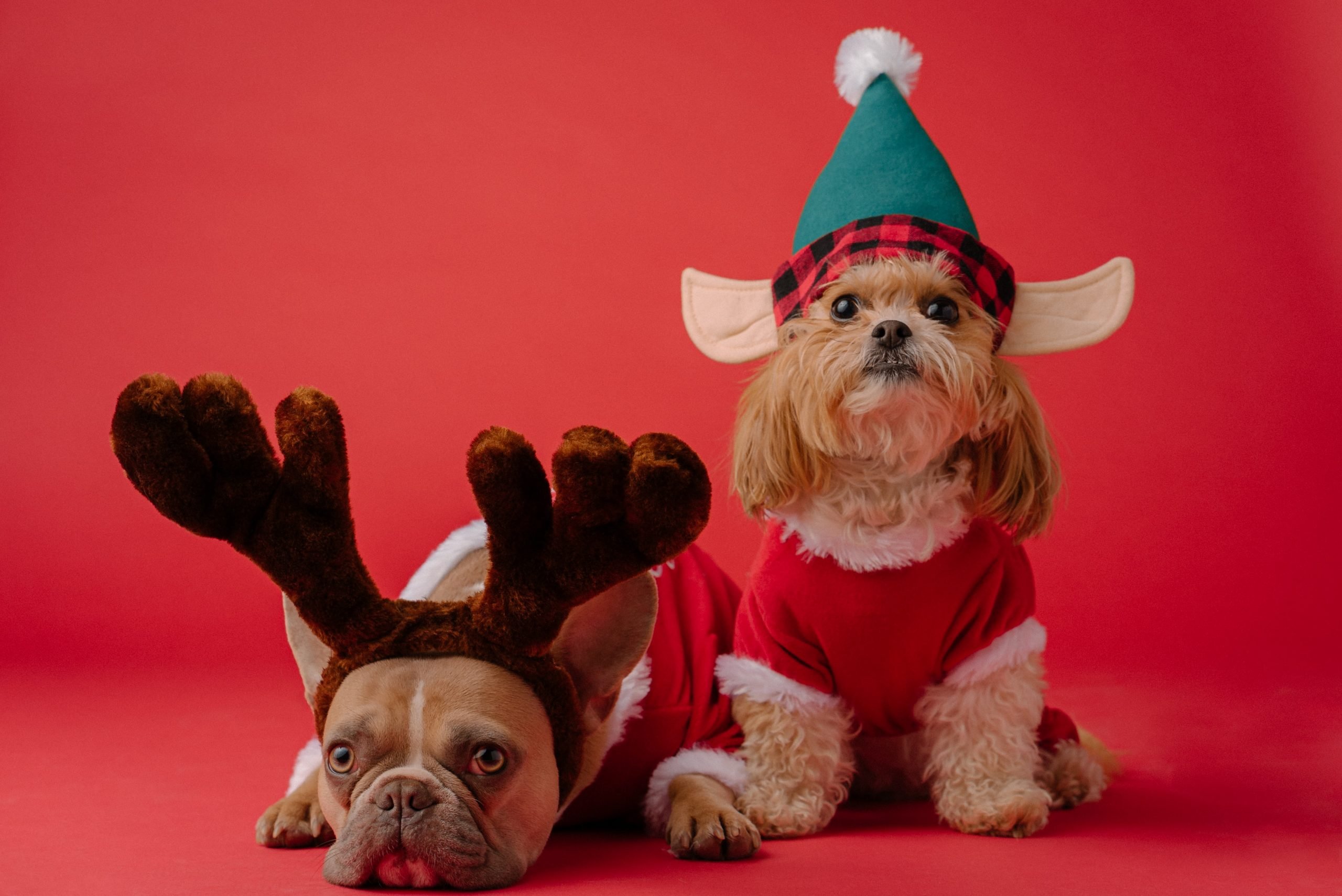 Snow Much Fun! Five Creative Christmas Patents