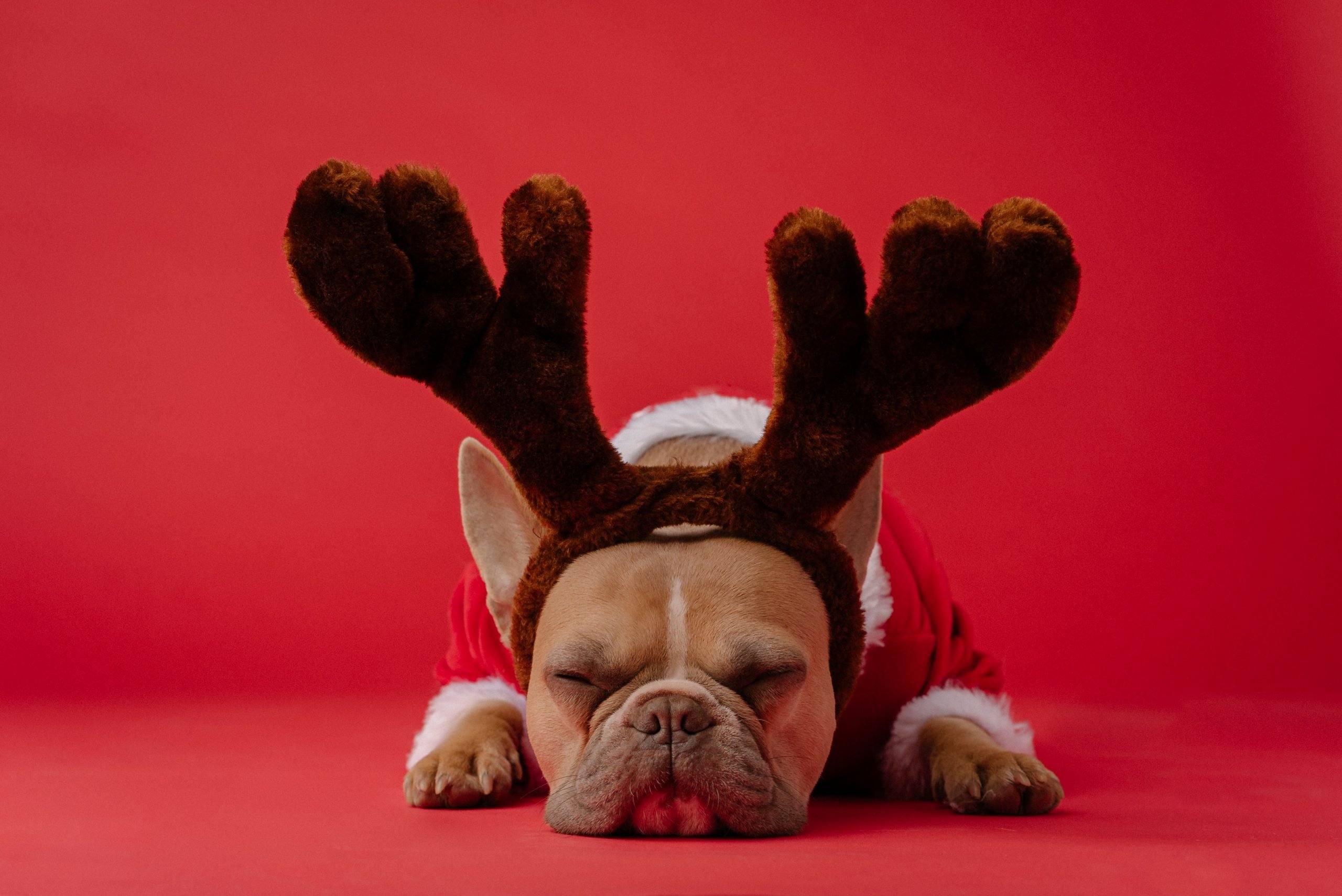 Santa Claus and Intellectual Property