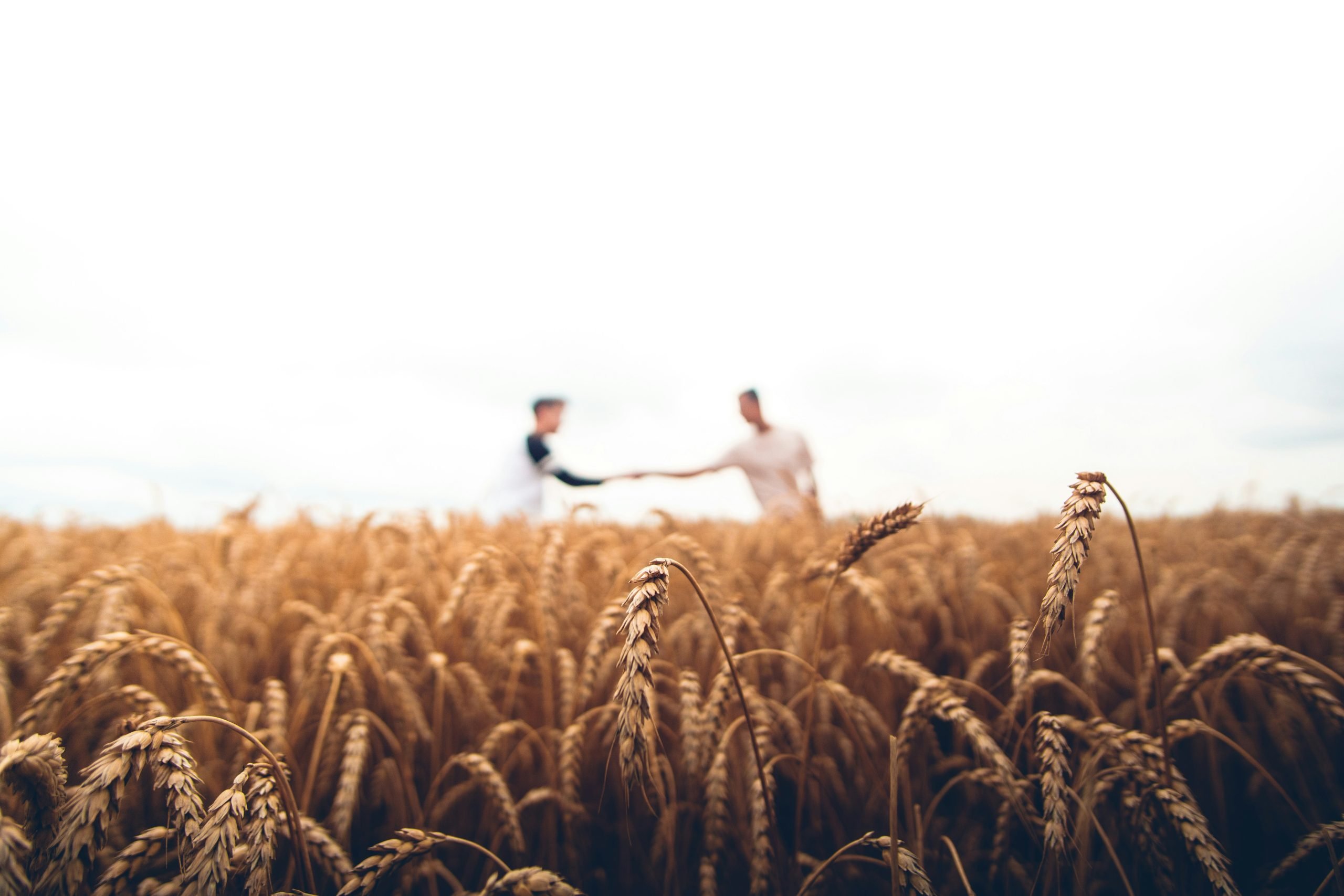 WIPO Implements Treaty On Genetic Resources in Patents