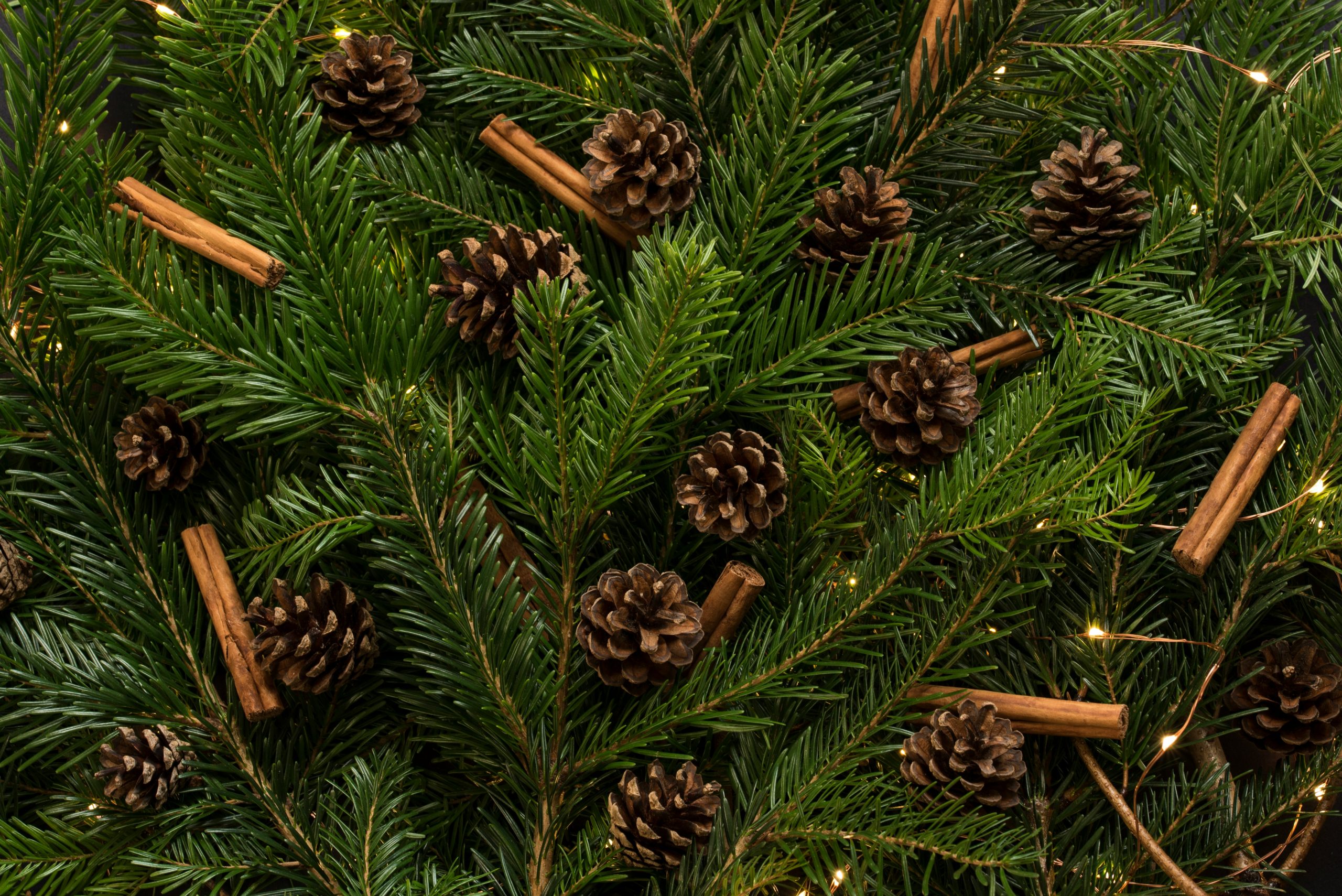 Christmas and Intellectual Property: Our Favourite Season