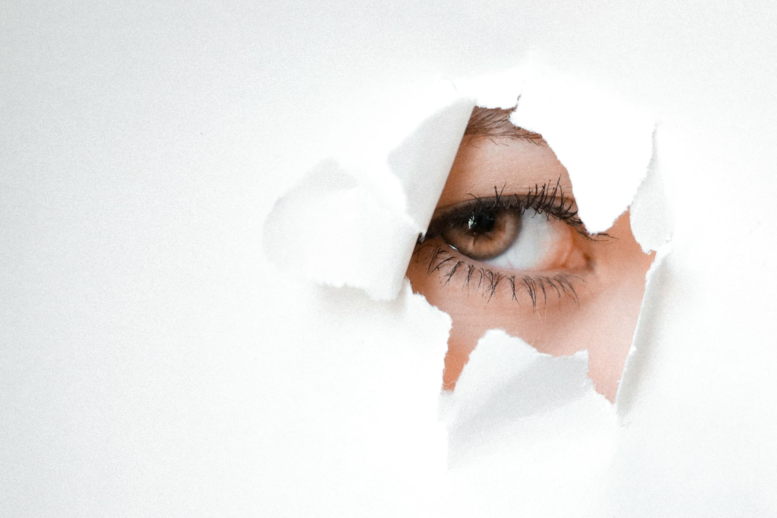 The Inside Job: When Your Distributor Steals Your Trademark